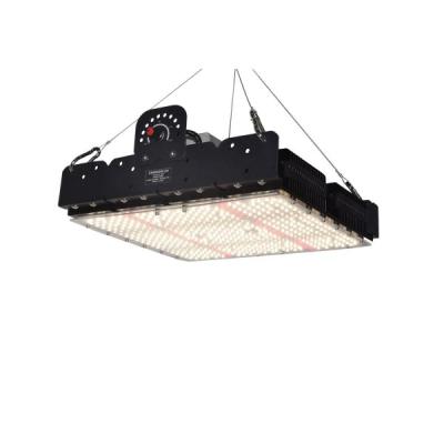 中国 Indoor grow lightsGL-14 250W 販売のため