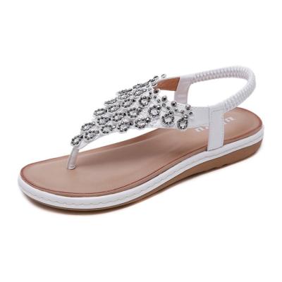 China Other New Fashion Women Antiskid Beach Slippers Hot Selling Outdoor Flat Sandal For Summer for sale