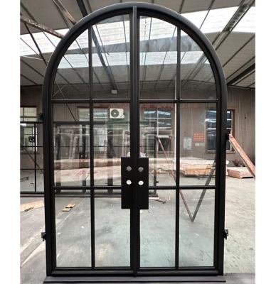 China Waterproof Exquisitely Designed Modern Arch Double Front Main Wrought Iron Exterior Door for sale