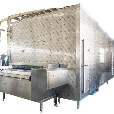 China food & Beverage Factory Tunnel IQF Freezing Machine Instant Blast Freezer For Food Processing Industry for sale