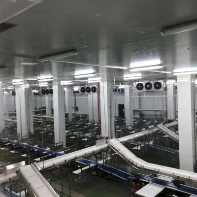 China Slaughtering Customized Cattle And Sheep Slaughterhouse Equipment With Cold Room for sale