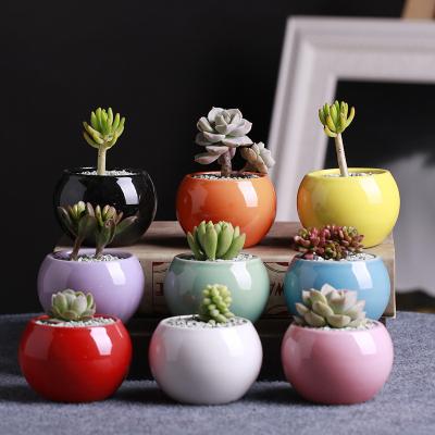 China Mini Flower Pot Corrosion Resistance Succulent Plant White Color Ceramic Balls Small Round White Porcelain Flower Pot for sale