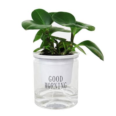 China Not easy to deform flower pot round transparent plastic hydroponic pot self watering succulent flower pot for sale