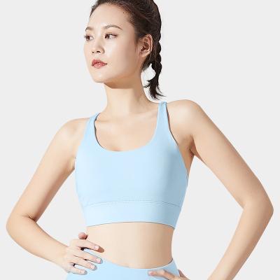 China Beautiful Back Cavity Adults Outline Back Curve Yoga Women's Bra Fitness Sports Underwear for sale