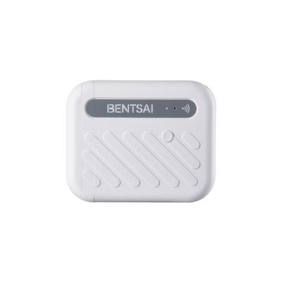 China 2022NEW BENTSAI B10 Mini Hotels Printer for QR Batch Barcode Logo Texts Character DIY Print Marking and Coding Tool WIFI Printer for sale