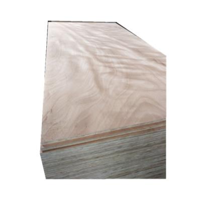 China 1220*2440mm Modern Okoume Plywood Leaning Plywood for sale