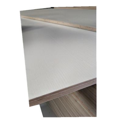 China Modern poplar/birch plywood okume plywood for sale