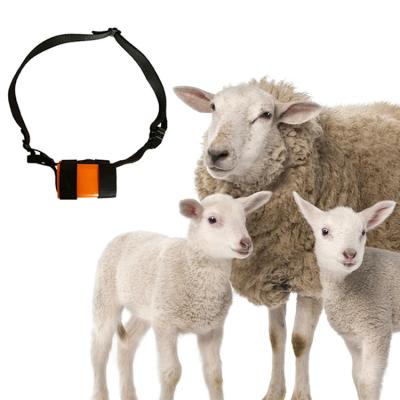 China Good Quality Smart Anti-lost Gps 2G Mini Tracking Device Big Animal Animal Trakcers for sale