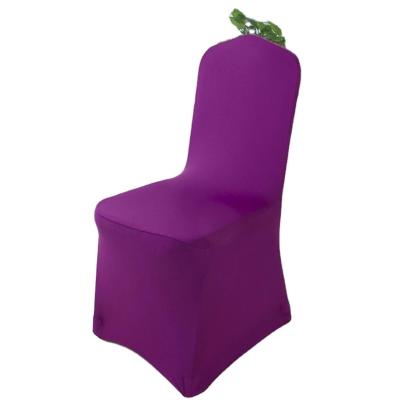 China Amazon Wedding Hotel Simple Spandex Office Fabric Elastic Non Slip Chair Cover for sale