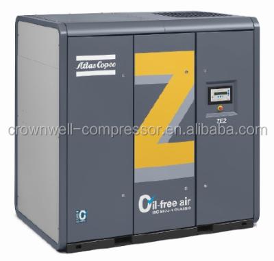 China Oil Free Atlas Copco Rotary Screw Compressors ZR55VSD Oil Free for sale