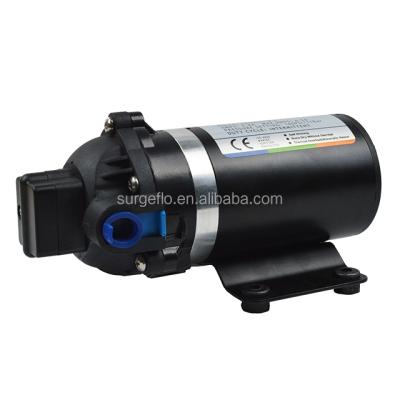 China SURGEFLO DP-160 12v 160PSI 7LPM mini car wash DC car wash high pressure electric water pump for sale