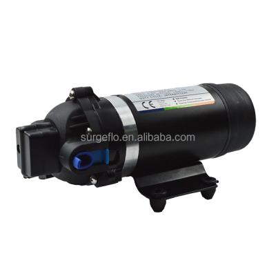 China Container / Bottles Cleaning SURGEFLO DP-160S Mini AC 110v 160PSI 7LPM High Pressure Water Seal Pump for sale