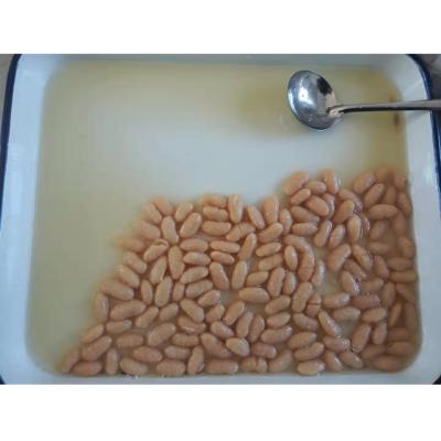 China Canned white kidney beans in brine or in tomato sauce for sale