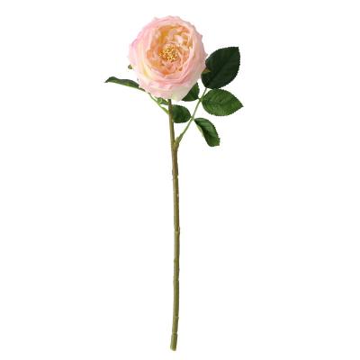 China Beautiful Colorful wedding decor latex flower austin rose big heads wholesale faux artificial real touch rose for wedding party decor for sale