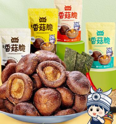 China New Hot Sale China Normal Style Dried Snacks Dried Vegetable Mushroom Chips Wholesale Fruit And Vegetable Chips for sale