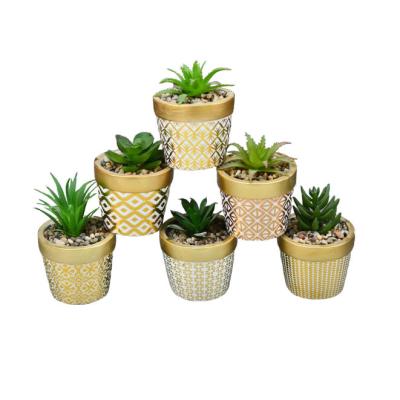 China Wholesale Custom Potted Artificial Succulent Plant Eco - Friendly In Cement Flower Pot For Home Decor for sale