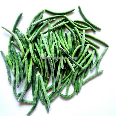 China New FROZEN Culture IQF Bean Whole Green Frozen for sale