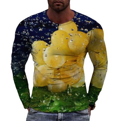 China 2022 New Arrival Spring Men's Roundneck Men's Anti-pilling Clothing 3D Pattern Printing Long Sleeve T-shirts for sale