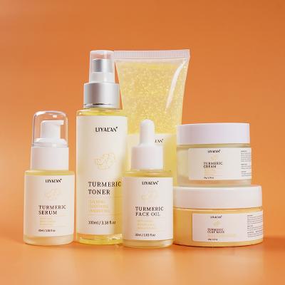 China Face Private Label Turmeric Facial Skin Care Set Anti Acne Whitening Beauty Anti Aging Organic Turmeric Korean Skin Care Set for sale