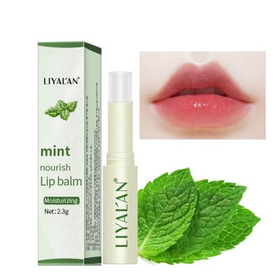 China Natural Herbal Private Label Extract Lip Care Waterproof Nourishing Exfoliating Lipbalm Moisturizer Long Lasting Mint Lip Balm for sale