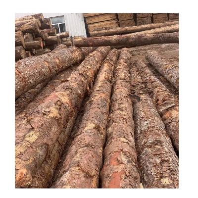 China Texture Factory Direct Sales Color Pinus Sylvestris Manufacturer Natural Base Pine Wood Board for sale