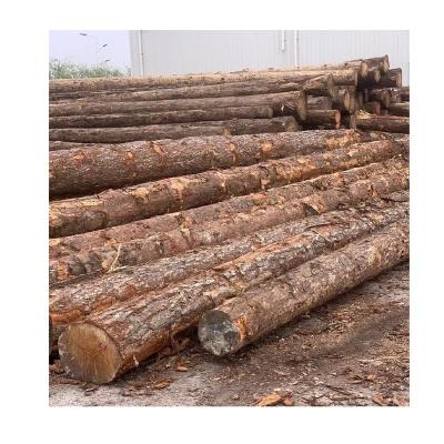 China Wholesale production of natural texture of pine wood raw materials of Radiata pine wardrobe and pinus Sylvestris square furniture for sale