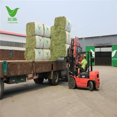 China Livestock Animal Feed Stuff Alfalfa Hay Manufacturers For Wholesale for sale