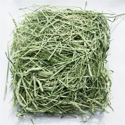 China Good cattle timothy hay for animal fodder for sale