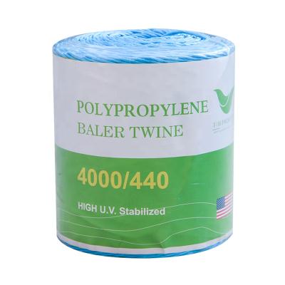 China For Agriculture Packing Inexpensive Strong 100% Polypropylene Hay Baler Twine With UV Protection For Alfalfa Packing for sale