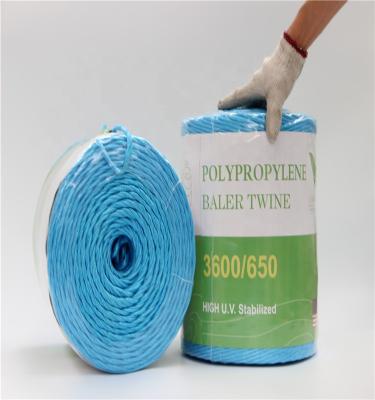 China For Agriculture Packing Grass Cutting And Packing Colored PP Color Baler Twine for sale