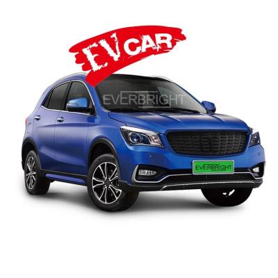 China Good Quality Mini Vehicle New Smart Electric Cheap Electric Car 18kwh for sale