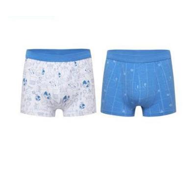 China New High Quality 95% Spandex / Spandex Cotton 5% Cotton Boxer Briefs OEM Big Men's Printed Underwear for sale