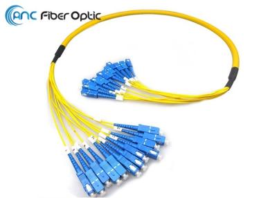 Chine corde de correction optique de fibre de 12F 24F à vendre