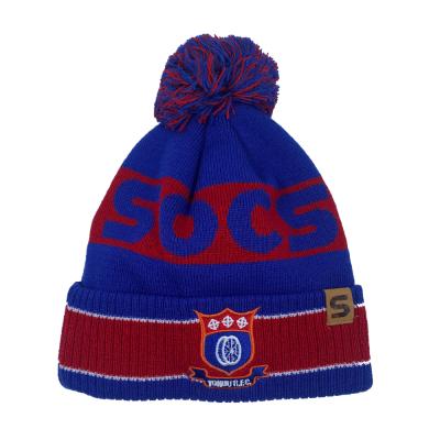 China OEM Sports Club Winter COMMON Wholesale Knitting Hat Customized Pom Pom Beanie Hat for sale