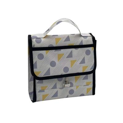 China Hot Selling Waterproof Children Picnic Large Capacity Printed Primary Middle School Lunch Bag For Kids for sale