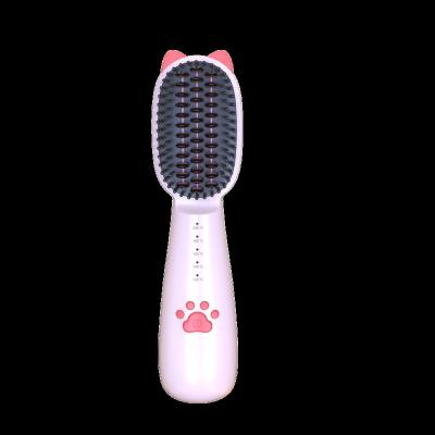 China 2022 New Design Compact Usb Rechargeable Cordless Hair Straightener Brush Hot For Woman for sale