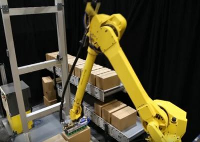 China Palletizer automatizado robot flexible con los programas que empalietan ajustables en venta