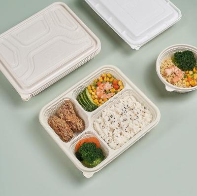 China 100% BIODEGRADABLE plastic lunch boxes containers, plastic bento take away, disposable food containers for sale