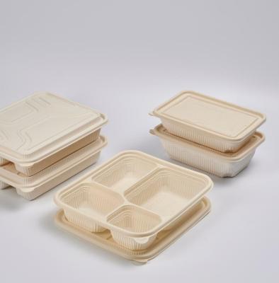 China Wholesale 100% Biodegradable PLA Disposable Eco-Friendly Compostable Cornstarch Lunch Box Disposable Food Container for sale