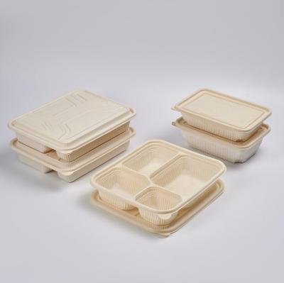 China 100% Disposable PLA Microwave Container Safe Compostable Biodegradable Cornstarch Eco-Friendly Disposable Plastic Takeout Bento Lunch Box for sale