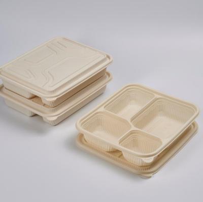 China 4 Compartment Bento Food Storage Lunch Boxes Disposable Eco-Friendly Biodegradable Catering Plastic Microwavable Disposable/Meal Prep Containers for sale