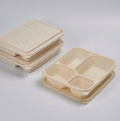 China Biodegradable Eco-Friendly Disposable Take Out Tray Food Take Out Salad Take Out Containers Disposable Microwavable Food 3.4 Compartment Take Out Bento Lunch Box for sale