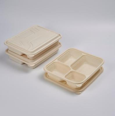 China 4 Compartment Biodegradable Eco-Friendly Disposable Meal Prep Containers BPA Free Food Storage Plastic Trays With Microwavable Airtight Lids for sale