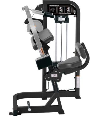 China Steel Tube Eagle Fitness Gym Club Integrated Gym Triceps Extension Trainer for sale