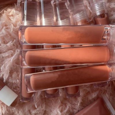 China Wholesale Natural Vegan Waterproof Clear Custom Glitter Fruit Tube Private Label Lip Gloss Base Coconut Oil Lip Gloss for sale