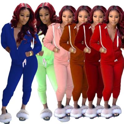 China Newest Design Women Solid Tracksuits Sport Suit Antibacterial For Girl for sale