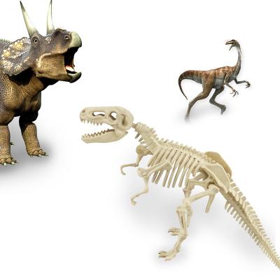 China Relieve Tension and Stress Kids' Dinosaur Excavation Kit, Skeleton Dinosaur Toys for Boys and Girls Aged 6-12, Dinosaur Fossil Excavation Kit for sale