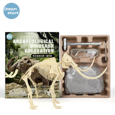 China Relieve Tool Fossil Tyrannosaurus Skeleton Dinosaur 3D Excavation Puzzle, With Archaeological Excavation Tool for sale