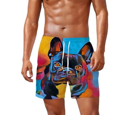 China New Fashion QUICK DRY Summer Shorts Men's Casual Style 3d Pattern Swim Beach Shorts Sweatpants for sale