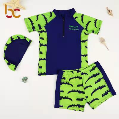 China 3pcs Antibacterial Set Baby Boy Swimming Suit Swimwear Splitted Dinosaur Printed Swimming Suits For Kids Children for sale